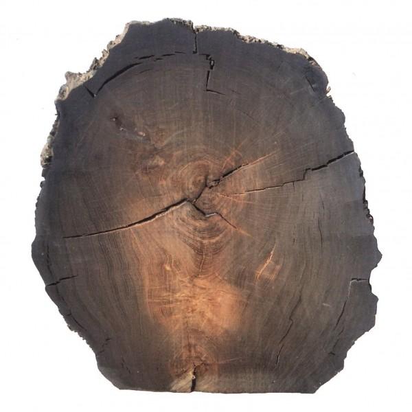 Ископаемая древесина Abonos 