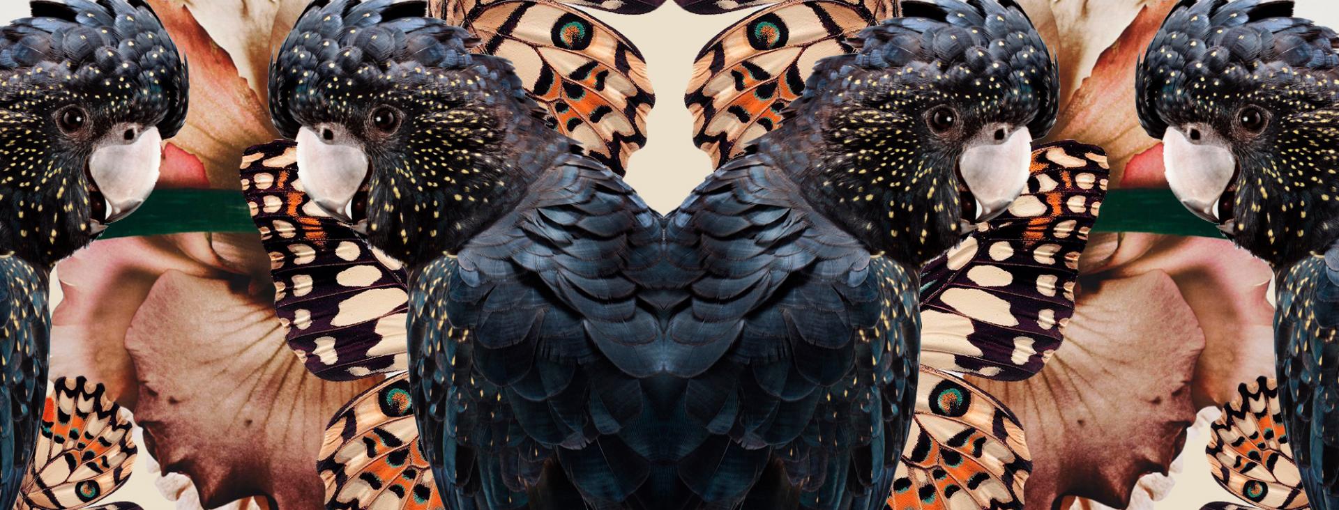 Visionnaire Details