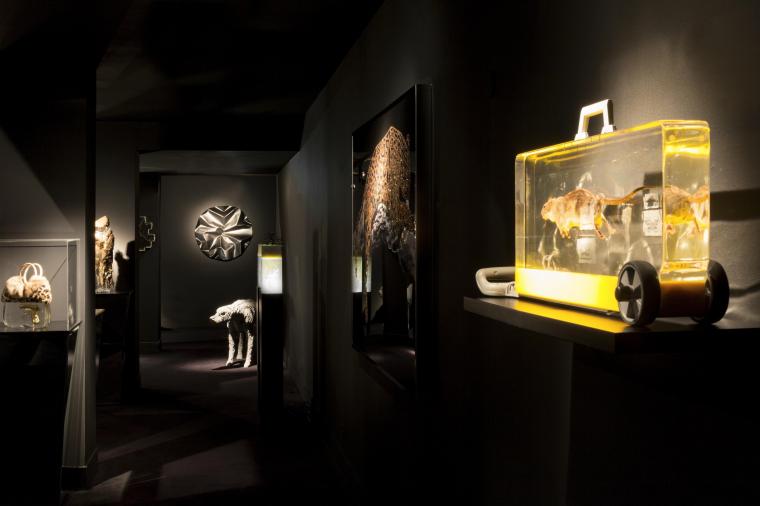 Safari Moon - Visionnaire Wunderkammer