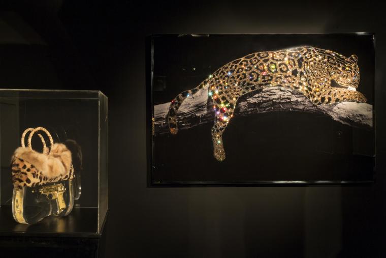 Safari Moon - Visionnaire Wunderkammer