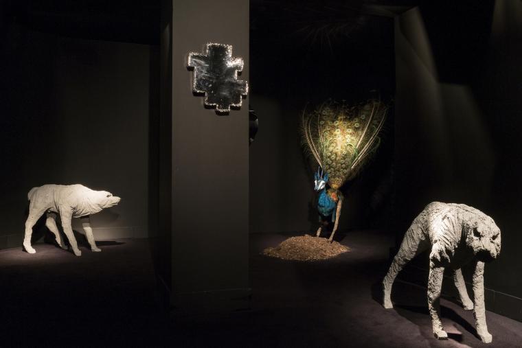 Safari Moon - Visionnaire Wunderkammer
