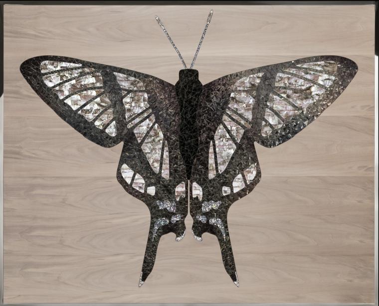 Abonos Wood