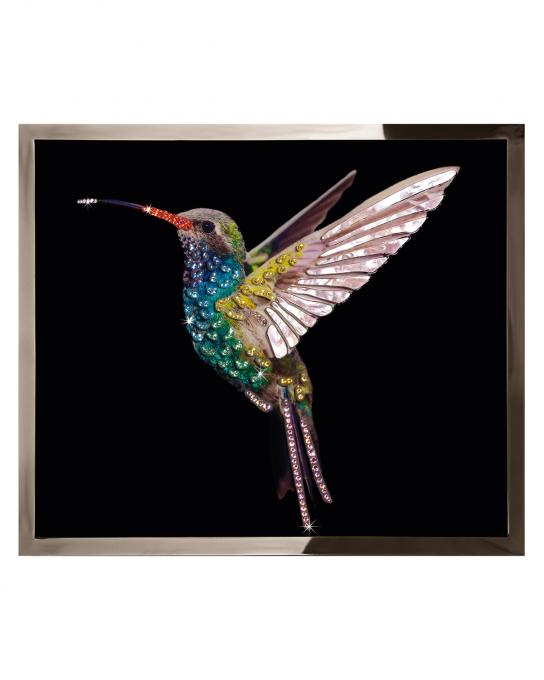 Colibri Mini