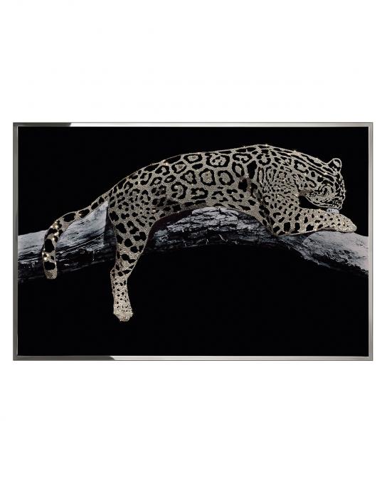 Leopardo Oro