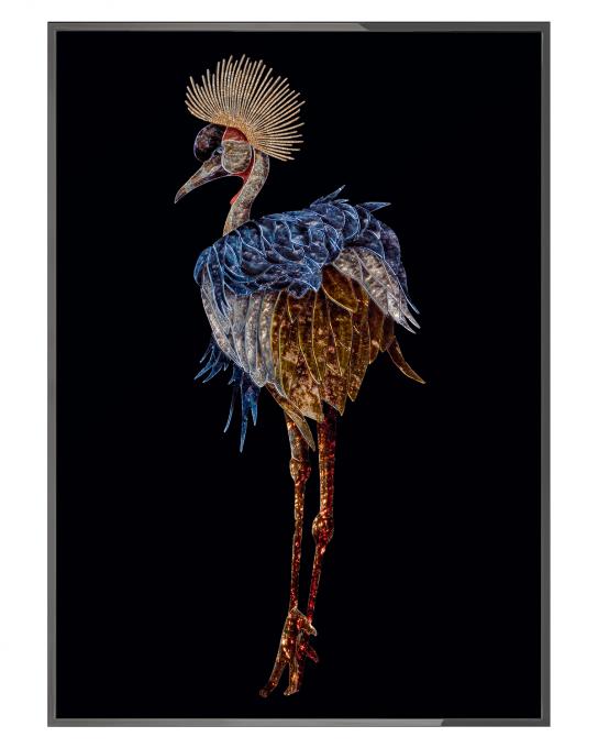 Gru Coronata