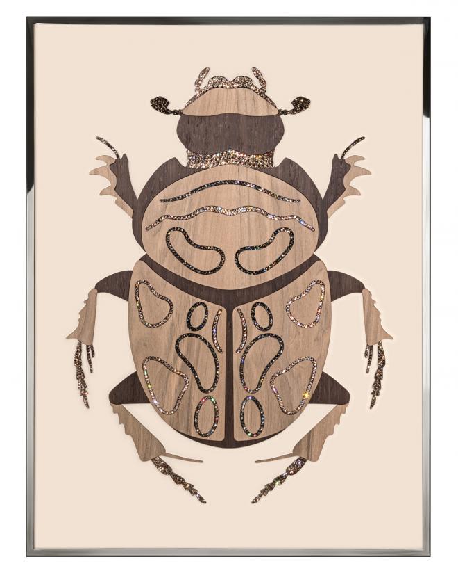 Beetle A