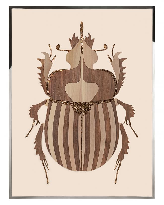 Beetle B