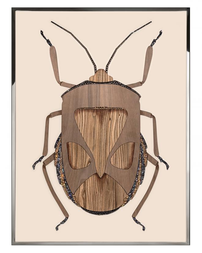 Beetle C