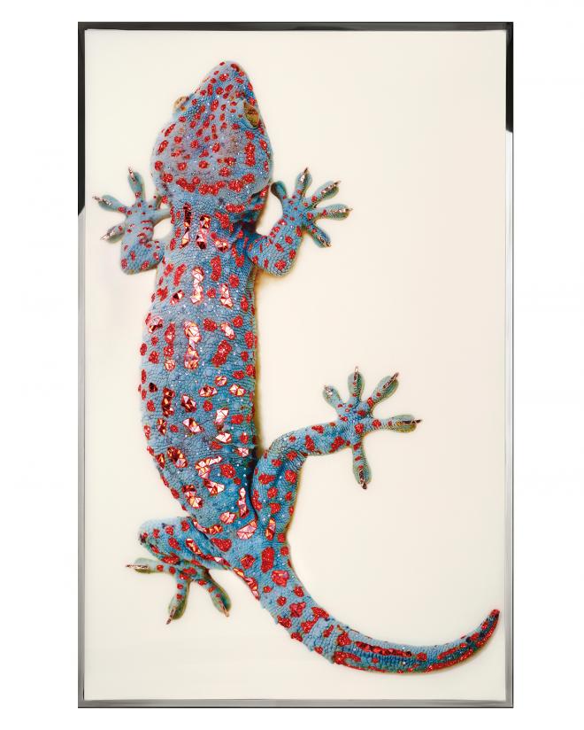 Gheko