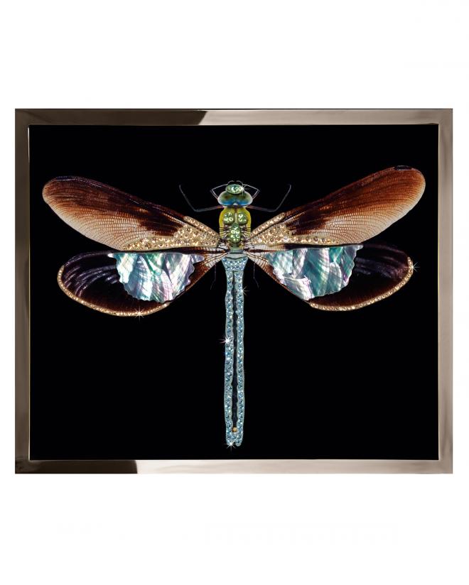 Libellula Mini