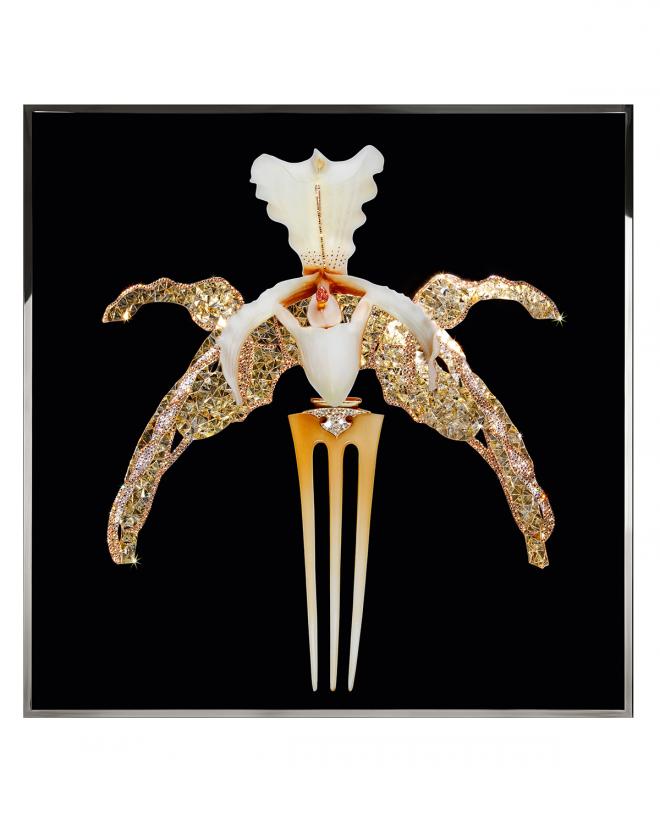 Orchidea Lalique
