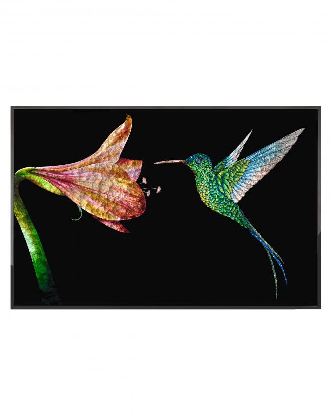 Colibri fiore