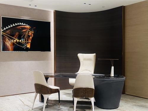 Visionnaire Shijiazhuang