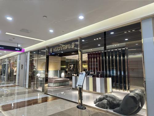 Visionnaire Chengdu